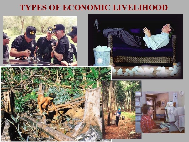 TYPES OF ECONOMIC LIVELIHOOD 