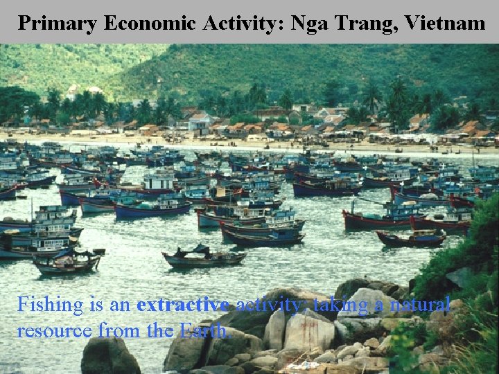 Primary Economic Activity: Nga Trang, Vietnam Fishing is an extractive activity: taking a natural