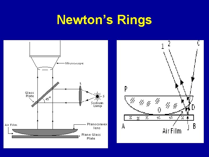 Newton’s Rings 