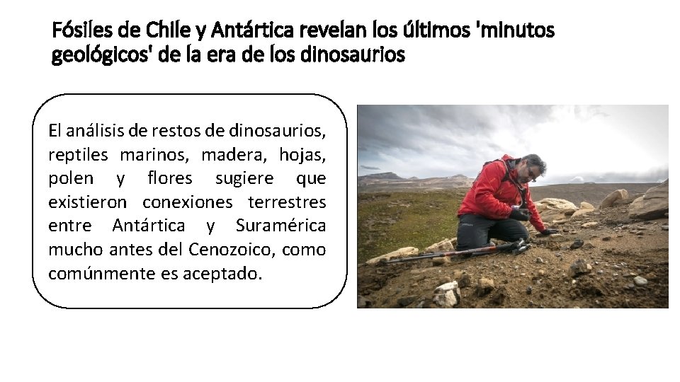 Fósiles de Chile y Antártica revelan los últimos 'minutos geológicos' de la era de