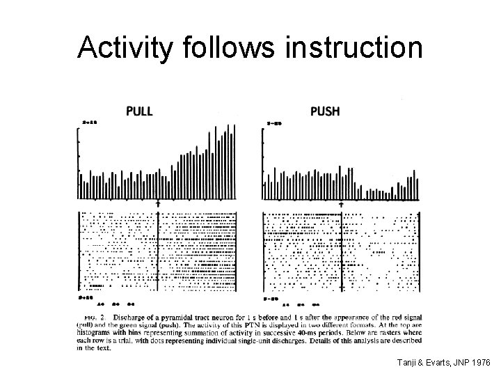 Activity follows instruction Tanji & Evarts, JNP 1976 