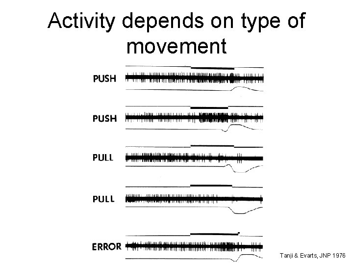 Activity depends on type of movement Tanji & Evarts, JNP 1976 