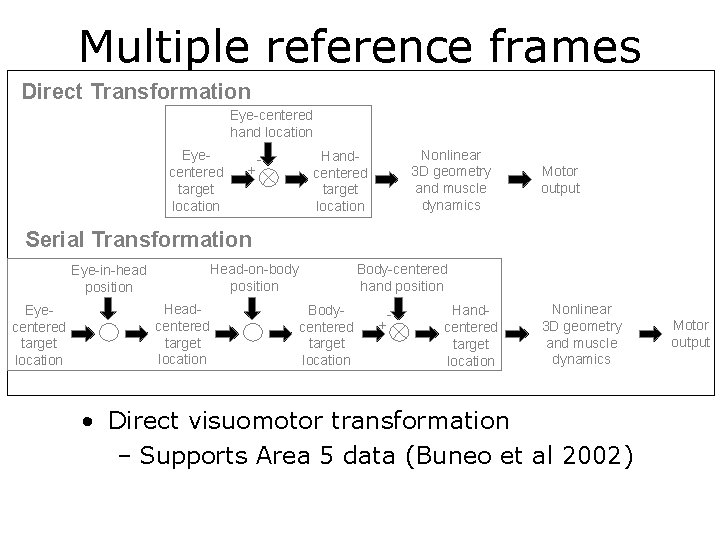 Multiple reference frames Direct Transformation Eye-centered hand location Eyecentered target location + - Nonlinear