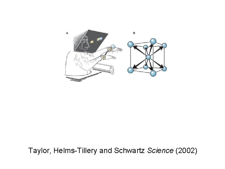 Taylor, Helms-Tillery and Schwartz Science (2002) 