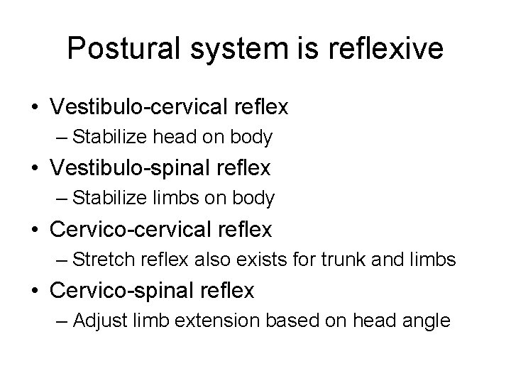 Postural system is reflexive • Vestibulo-cervical reflex – Stabilize head on body • Vestibulo-spinal