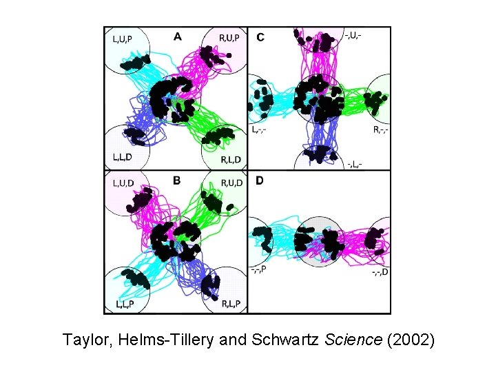 Taylor, Helms-Tillery and Schwartz Science (2002) 