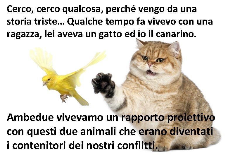 Cerco, cerco qualcosa, perché vengo da una storia triste… Qualche tempo fa vivevo con