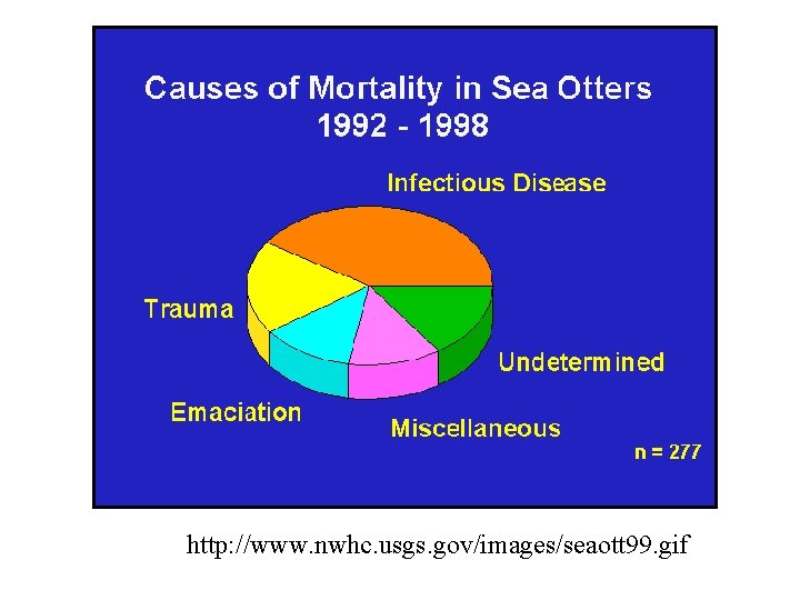 http: //www. nwhc. usgs. gov/images/seaott 99. gif 