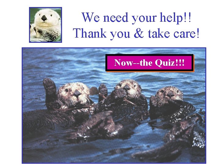 We need your help!! Thank you & take care! Now--the Quiz!!! 