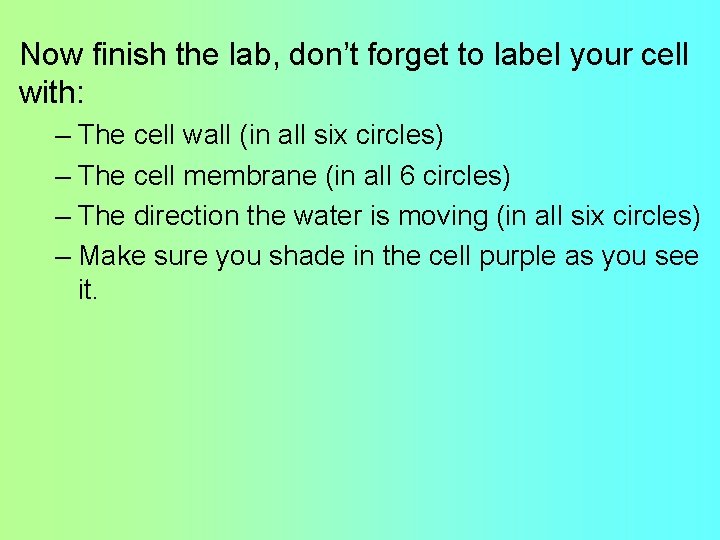 Now finish the lab, don’t forget to label your cell with: – The cell Now finish the lab, don’t forget to label your cell with: – The cell