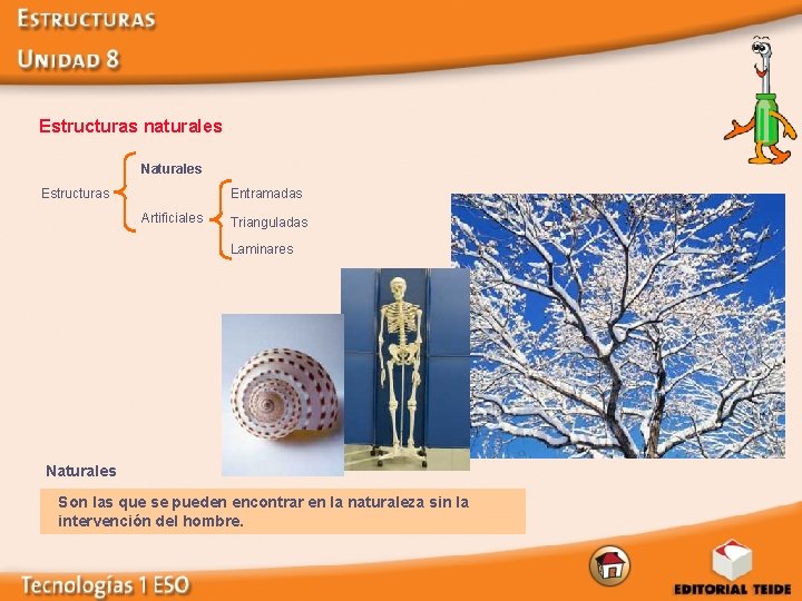  Estructuras naturales Naturales Estructuras Entramadas Artificiales Trianguladas Laminares Naturales Son las que se