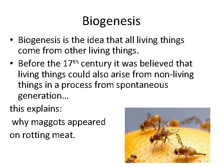 Biogenesis • Biogenesis is the idea that all living things come from other living