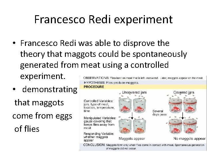 Francesco Redi experiment • Francesco Redi was able to disprove theory that maggots could