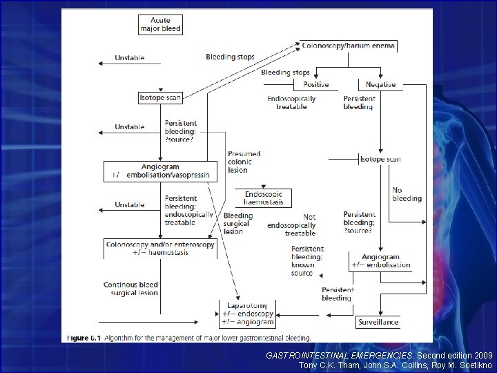 GASTROINTESTINAL EMERGENCIES. Second edition 2009 Tony C. K. Tham, John S. A. Collins, Roy