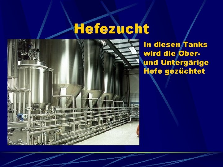 Hefezucht In diesen Tanks wird die Oberund Untergärige Hefe gezüchtet 