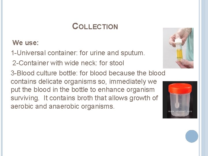 COLLECTION We use: 1 -Universal container: for urine and sputum. 2 -Container with wide