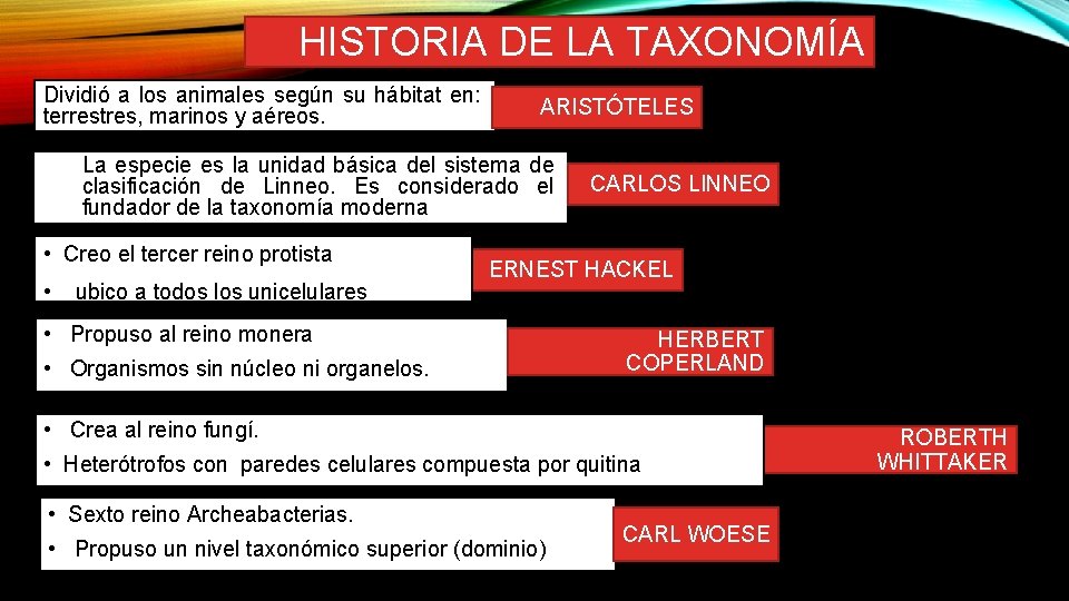 HISTORIA DE LA TAXONOMÍA Dividió a los animales según su hábitat en: terrestres, marinos