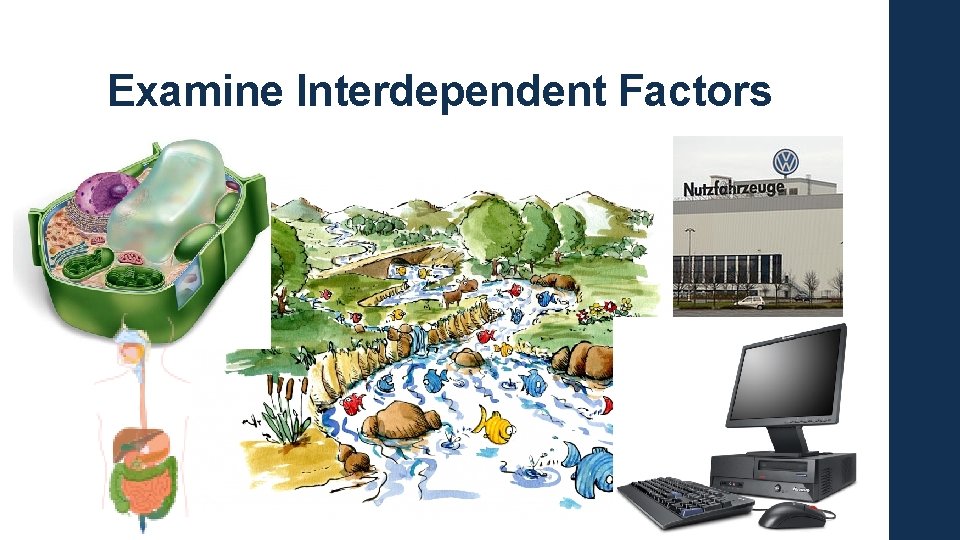 Examine Interdependent Factors 