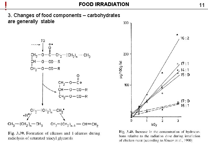 ! FOOD IRRADIATION 3. Changes of food components – carbohydrates are generally stable 11