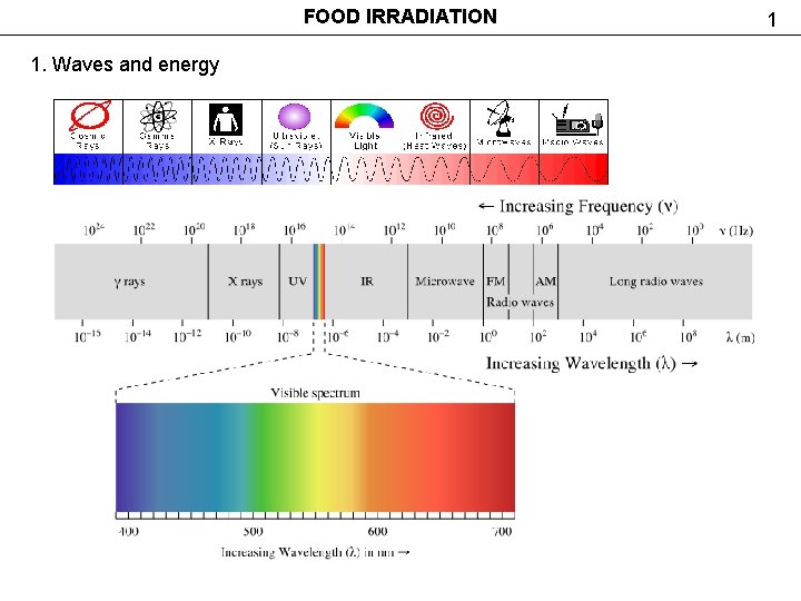 FOOD IRRADIATION 1. Waves and energy 1 