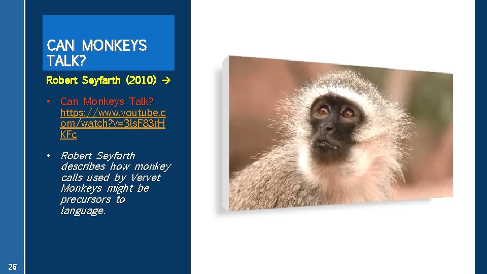 CAN MONKEYS TALK? Robert Seyfarth (2010) • Can Monkeys Talk? https: //www. youtube. c