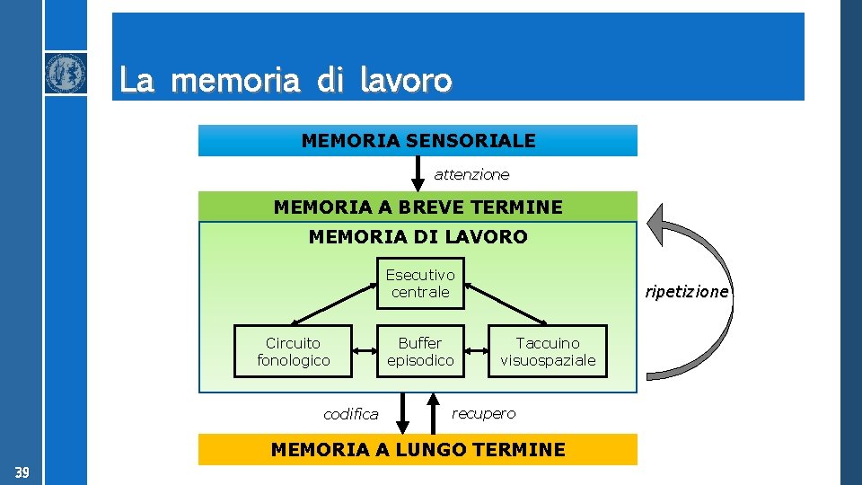 La memoria di lavoro MEMORIA SENSORIALE attenzione MEMORIA A BREVE TERMINE MEMORIA DI LAVORO