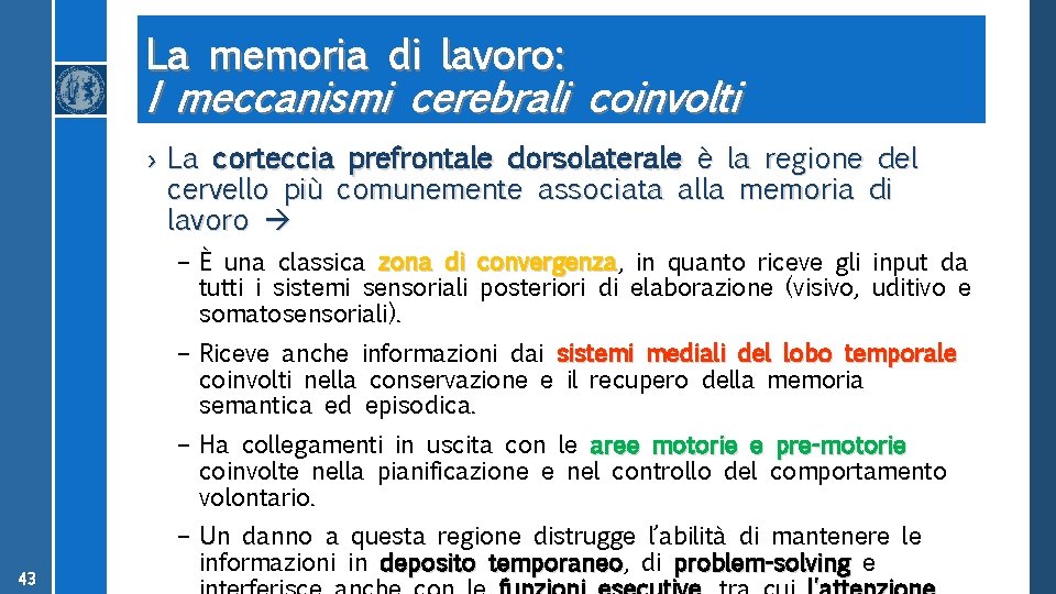 La memoria di lavoro: I meccanismi cerebrali coinvolti › La corteccia prefrontale dorsolaterale è