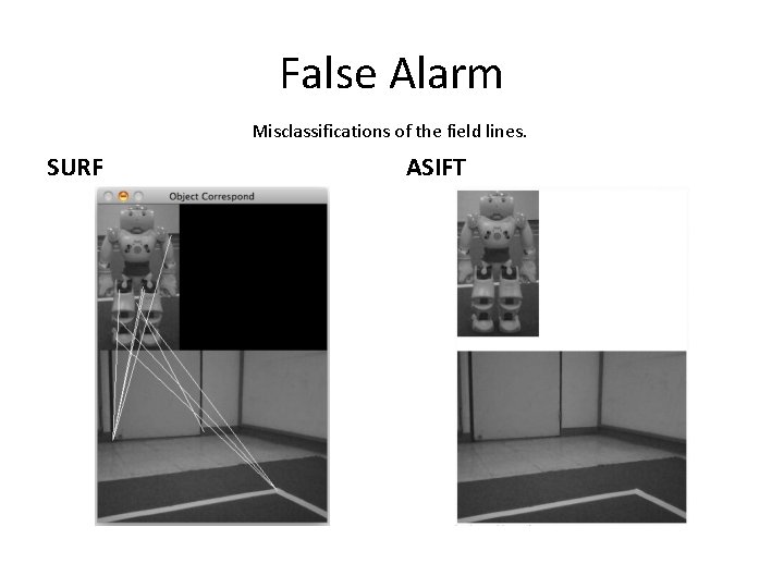 False Alarm Misclassifications of the field lines. SURF ASIFT 