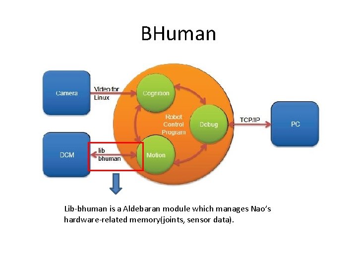 BHuman Lib-bhuman is a Aldebaran module which manages Nao’s hardware-related memory(joints, sensor data). 