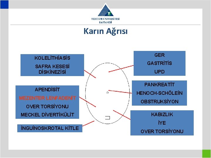 Karın Ağrısı KOLELİTHİASİS SAFRA KESESİ DİSKİNEZİSİ APENDİSİT MEZENTER LENFADENİT OVER TORSİYONU MECKEL DİVERTİKÜLİT GER