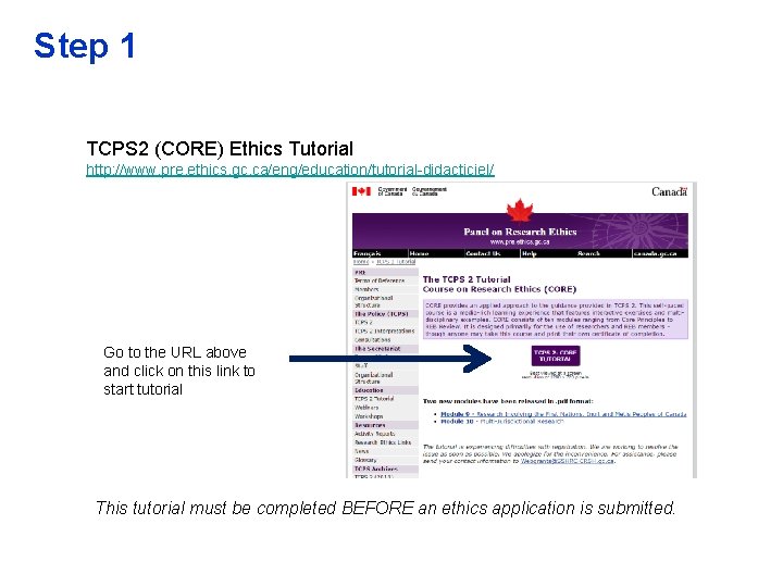 Step 1 TCPS 2 (CORE) Ethics Tutorial http: //www. pre. ethics. gc. ca/eng/education/tutorial-didacticiel/ Go