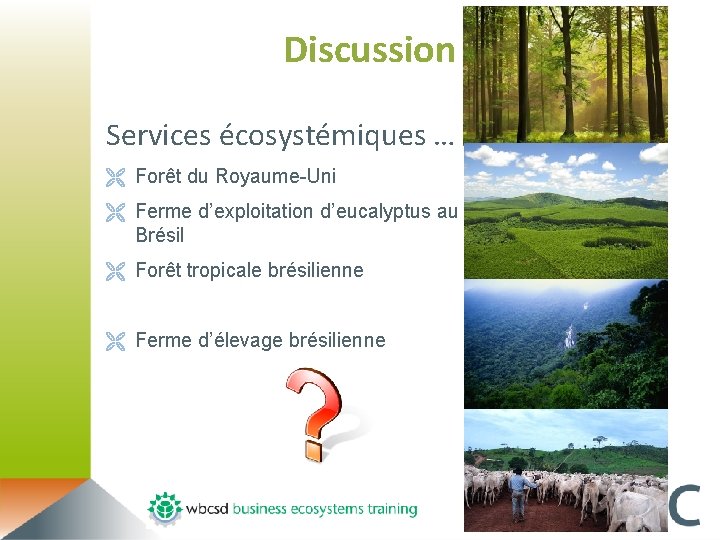 Discussion Services écosystémiques … Ë Forêt du Royaume-Uni Ë Ferme d’exploitation d’eucalyptus au Brésil