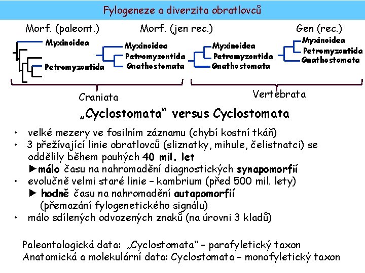 Fylogeneze a diverzita obratlovců Morf. (paleont. ) Myxinoidea Petromyzontida Craniata Morf. (jen rec. )