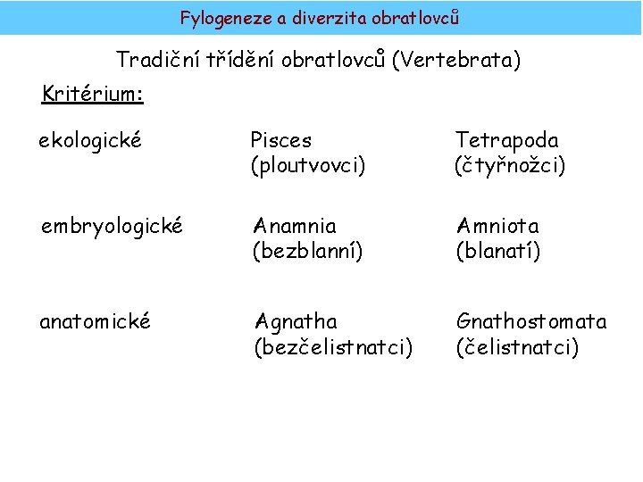 Fylogeneze a diverzita obratlovců Tradiční třídění obratlovců (Vertebrata) Kritérium: ekologické Pisces (ploutvovci) Tetrapoda (čtyřnožci)