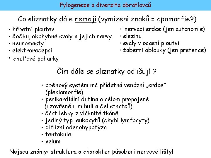 Fylogeneze a diverzita obratlovců Co sliznatky dále nemají (vymizení znaků = apomorfie? ) •