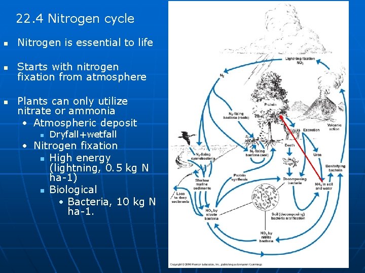 22. 4 Nitrogen cycle n Nitrogen is essential to life n Starts with nitrogen