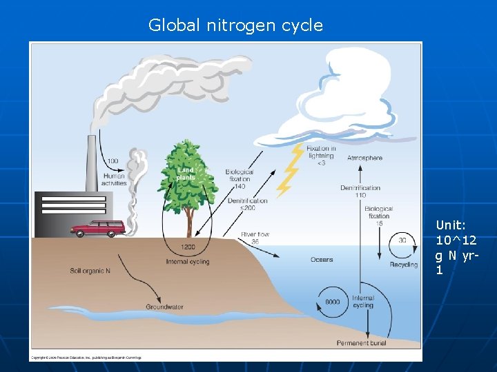 Global nitrogen cycle Unit: 10^12 g N yr 1 