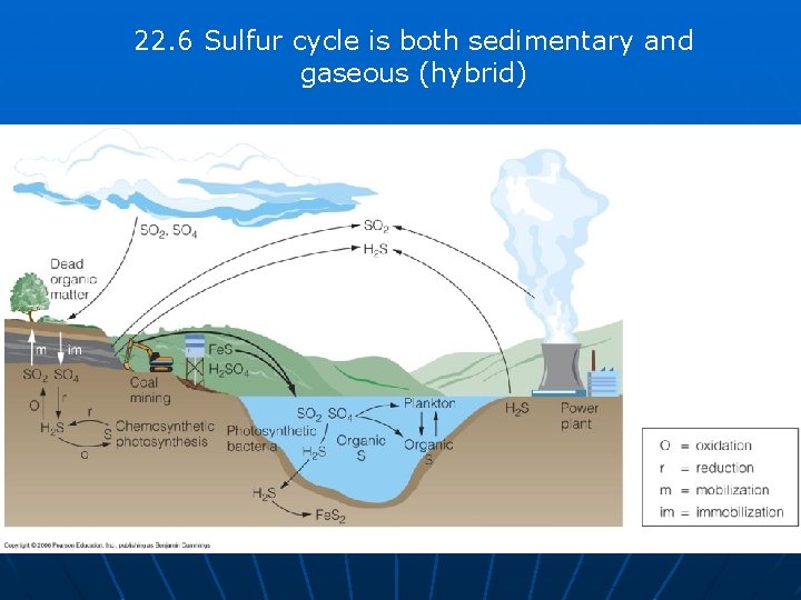 22. 6 Sulfur cycle is both sedimentary and gaseous (hybrid) 