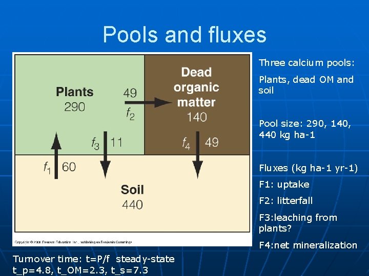 Pools and fluxes Three calcium pools: Plants, dead OM and soil Pool size: 290,