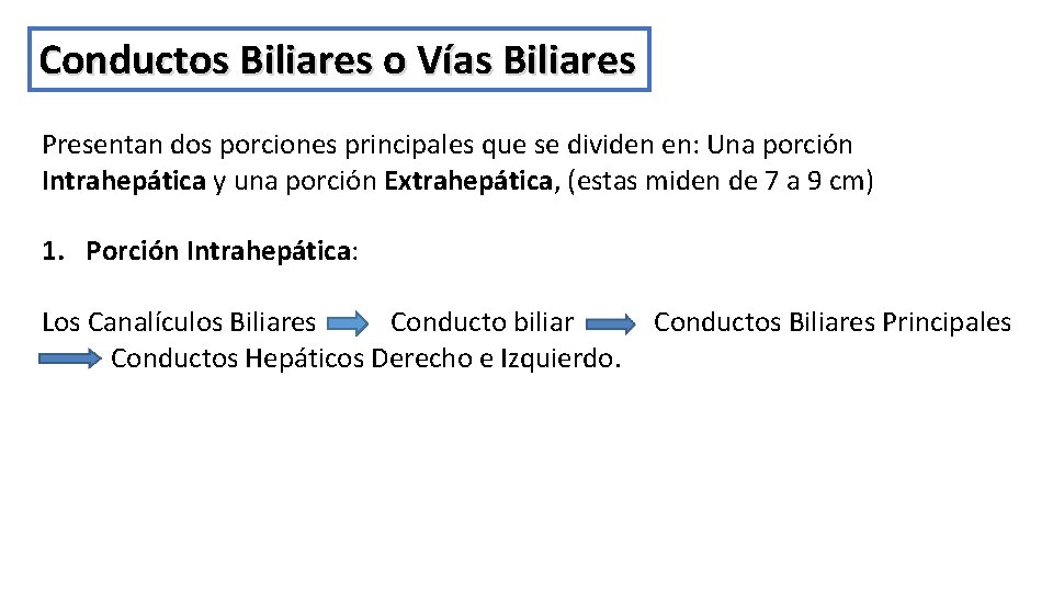 Conductos Biliares o Vías Biliares Presentan dos porciones principales que se dividen en: Una