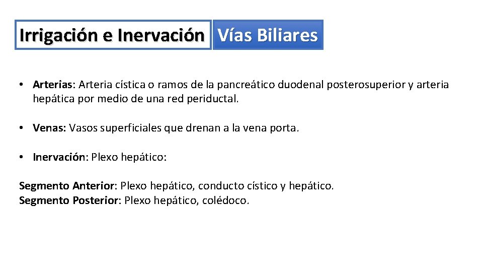 Irrigación e Inervación Vías Biliares • Arterias: Arteria cística o ramos de la pancreático