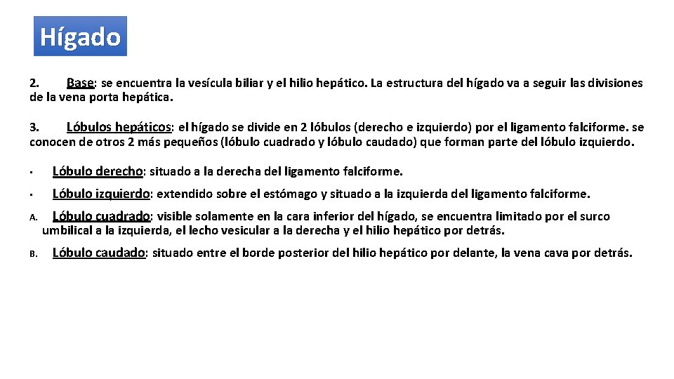 Hígado 2. Base: se encuentra la vesícula biliar y el hilio hepático. La estructura