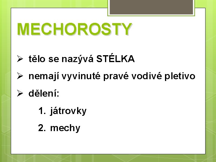 MECHOROSTY Ø tělo se nazývá STÉLKA Ø nemají vyvinuté pravé vodivé pletivo Ø dělení: