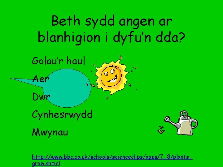 Beth sydd angen ar blanhigion i dyfu’n dda? Golau’r haul Aer Dwr Cynhesrwydd Mwynau