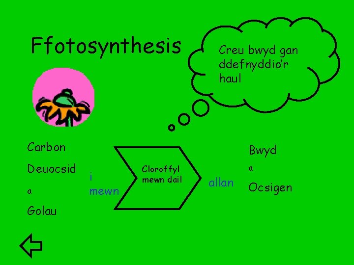 Ffotosynthesis Creu bwyd gan ddefnyddio’r haul Carbon Deuocsid a Golau Bwyd i mewn Cloroffyl