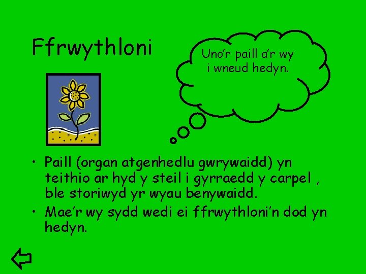 Ffrwythloni Uno’r paill a’r wy i wneud hedyn. • Paill (organ atgenhedlu gwrywaidd) yn