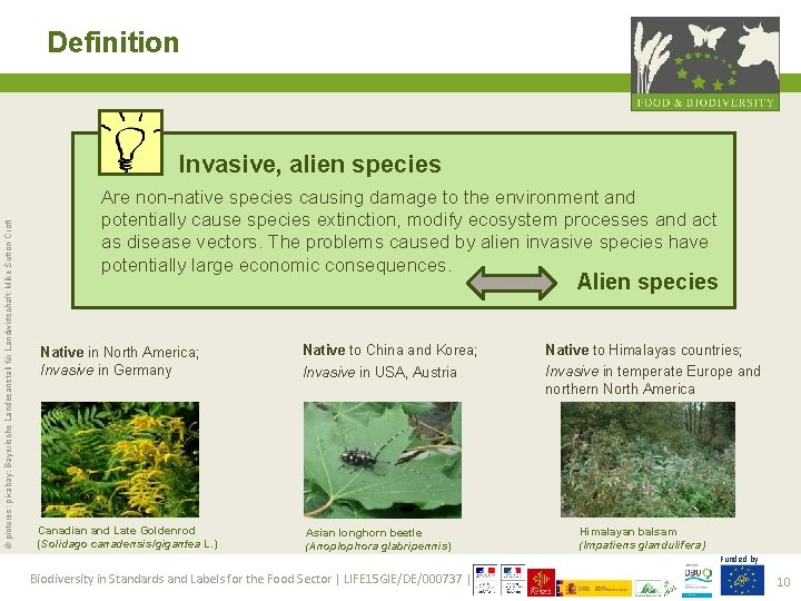 Definition © pictures: pixabay; Bayerische Landesanstalt für Landwirtschaft; Mike Sutton-Croft Invasive, alien species Are