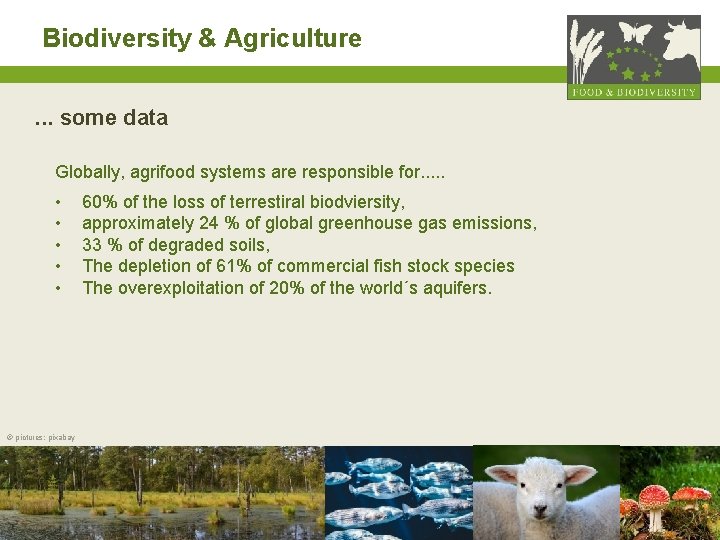 Biodiversity & Agriculture. . . some data Globally, agrifood systems are responsible for. .