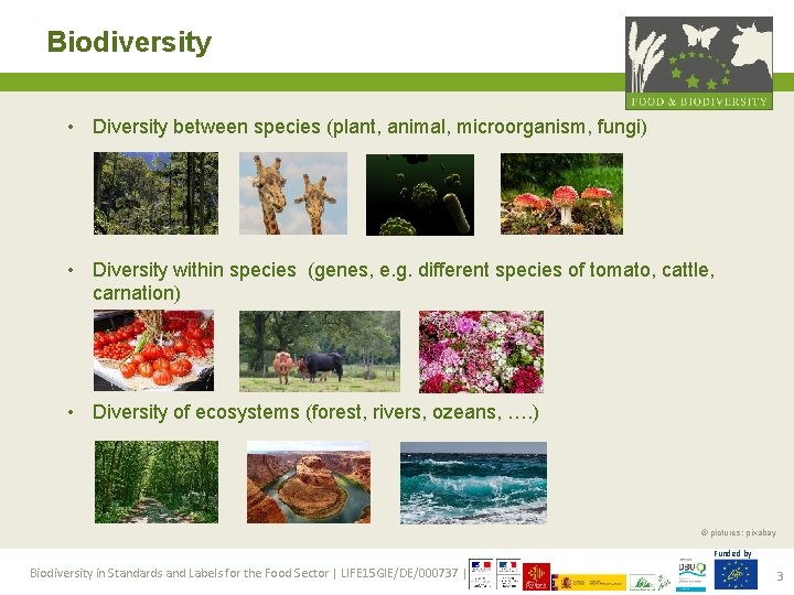 Biodiversity • Diversity between species (plant, animal, microorganism, fungi) • Diversity within species (genes,