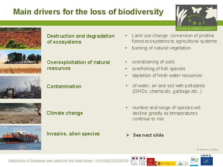 Main drivers for the loss of biodiversity • • Land use change: conversion of